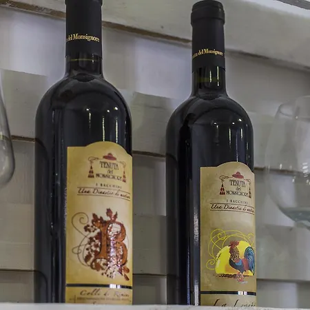 Domus Mea * Cattolica