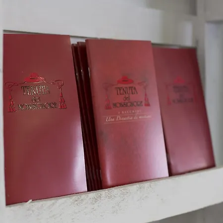 Domus Mea * Cattolica