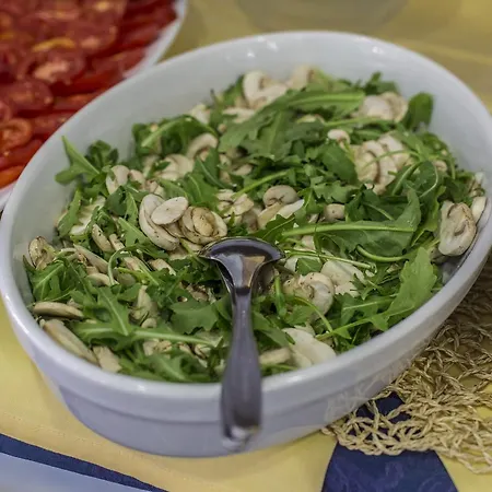 Domus Mea * Cattolica