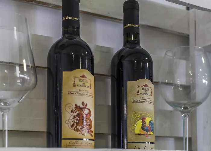 Domus Mea * カットーリカ