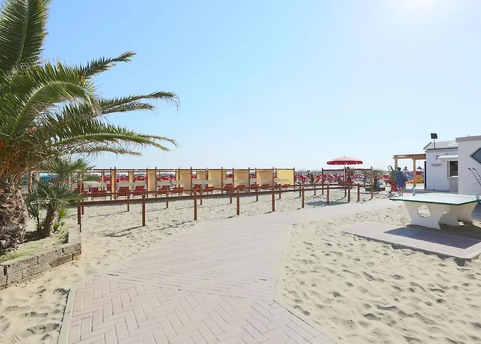 Domus Mea * 卡托利卡